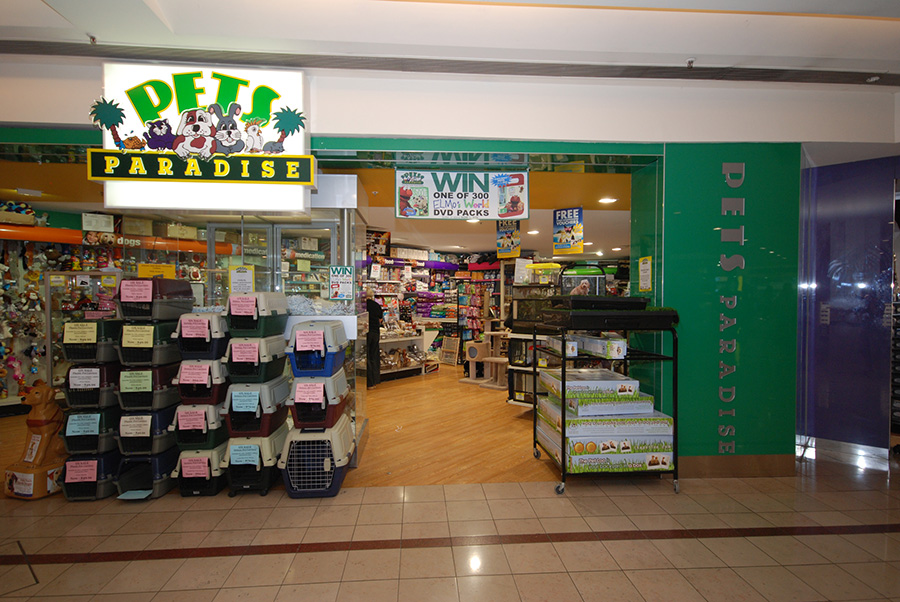 Pets Paradise Surface Interiors